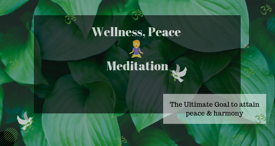 Blogs - Plexcel Info Systems Private Limited